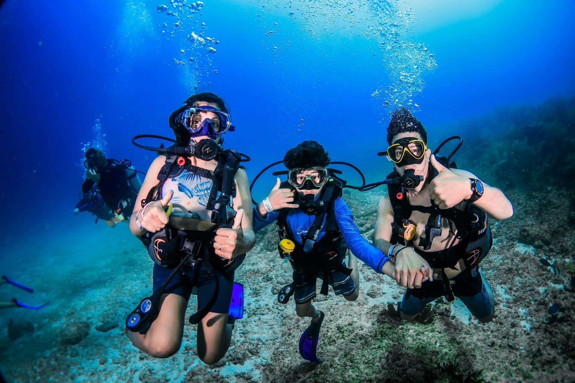 Tauchschule Playa del Carmen: Die besten Cenoten-Abenteuer