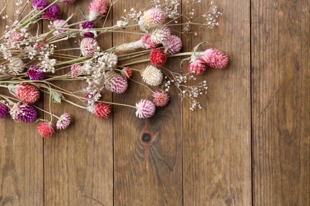 Die Kunst des Blumen Trocknens: So Bewahren Sie Ihre Lieblingsblumen für Immer